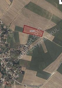 Arsa-Tarla