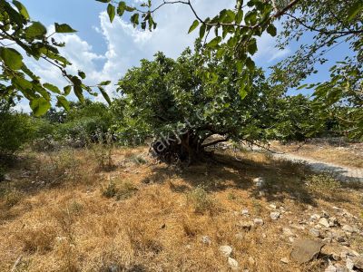Arsa-Konut İmarlı