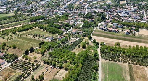 Arsa-Tarla