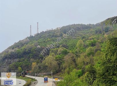 Arsa-Bağ & Bahçe