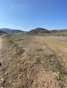 Arsa-Tarla