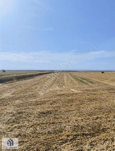 Arsa-Tarla