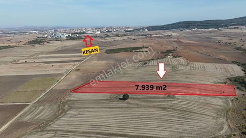 Arsa-Tarla