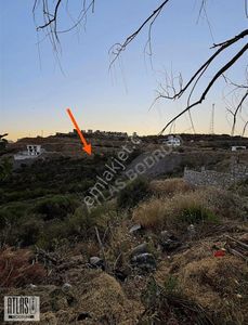 Arsa-Konut İmarlı