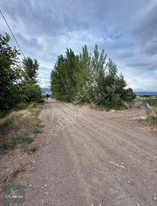 Arsa-Tarla