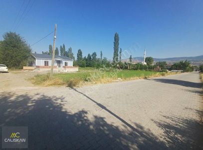 Arsa-Tarla
