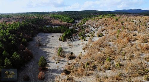 Arsa-Tarla