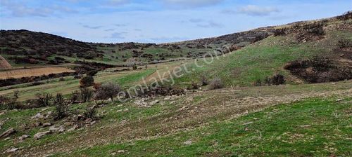 Arsa-Tarla
