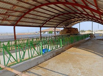 Arsa-Konut İmarlı