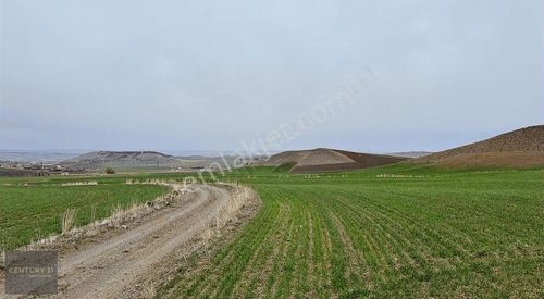 Arsa-Villa İmarlı