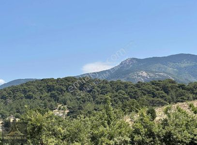 Arsa-Villa İmarlı