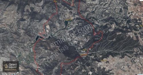 Arsa-Zeytinlik