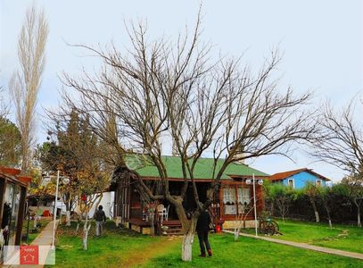 Arsa-Bağ & Bahçe