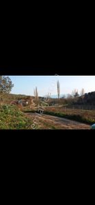 Arsa-Zeytinlik