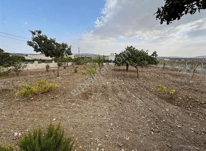 Konut-Villa