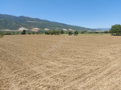Arsa-Tarla