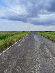 Arsa-Tarla