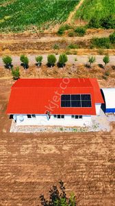 Arsa-Bağ & Bahçe