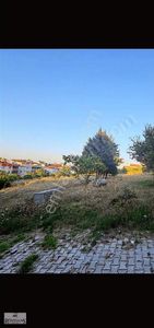 Arsa-Konut İmarlı
