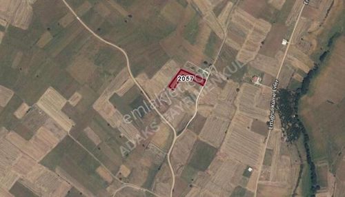 Arsa-Tarla
