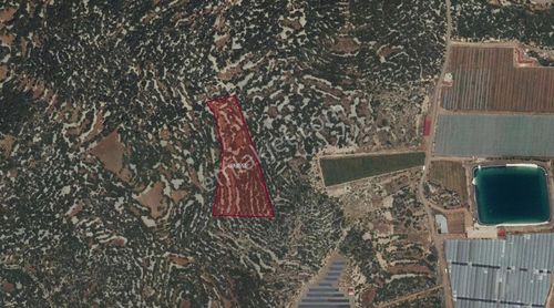 Arsa-Tarla
