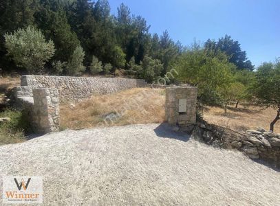 Arsa-Tarla
