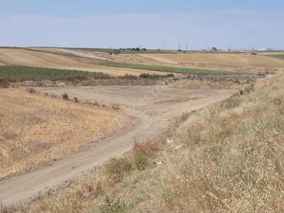 Arsa-Tarla