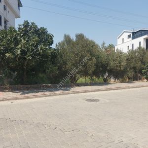 Arsa-Konut İmarlı