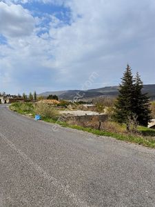 Arsa-Bağ & Bahçe