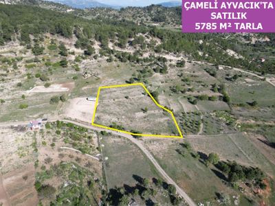 🦋lobby Fortis'ten Satılık Çameli Ayvacık'ta Satılık 5785 M² Tarla🦋