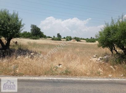 Arsa-Konut İmarlı