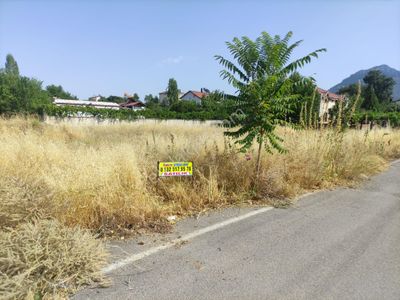 Arsa-Konut İmarlı