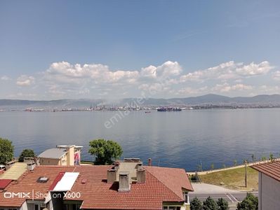 Konut-Daire