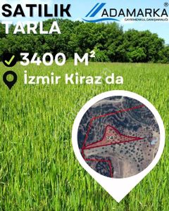 Arsa-Tarla