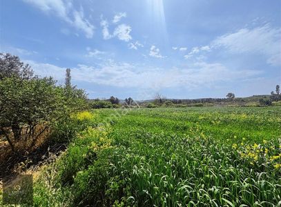Arsa-Tarla