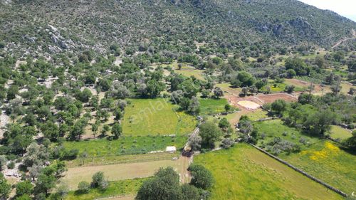 Arsa-Tarla
