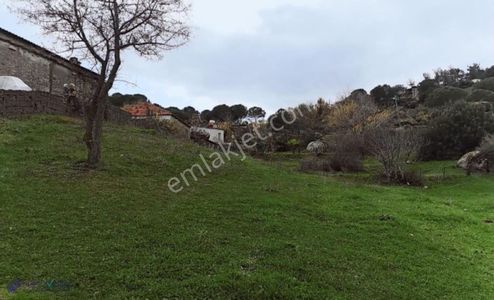 Arsa-Tarla