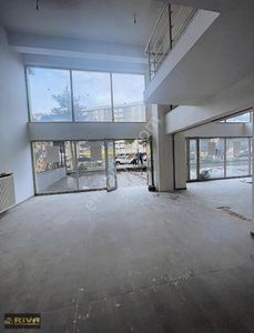 İşyeri-Dükkan & Mağaza