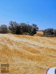 Arsa-Tarla