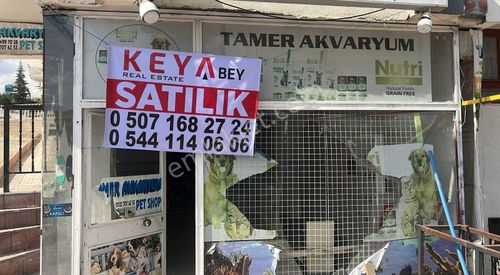 İşyeri-Dükkan & Mağaza