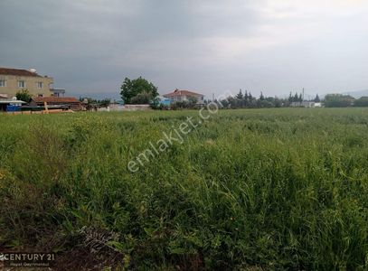 Arsa-Tarla