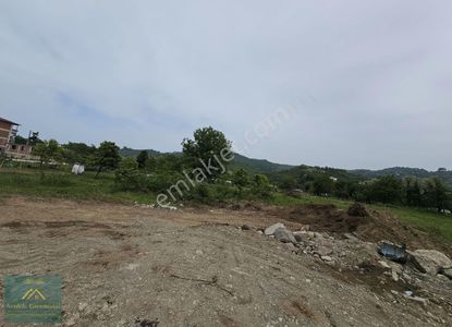 Arsa-Konut İmarlı