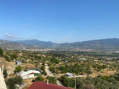 Arsa-Arazi