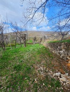 Arsa-Bağ & Bahçe