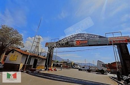 İşyeri-Dükkan & Mağaza