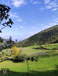 Arsa-Tarla