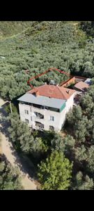 Arsa-Zeytinlik