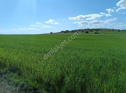 Arsa-Ticari İmarlı