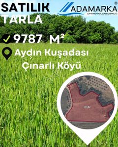 Arsa-Tarla