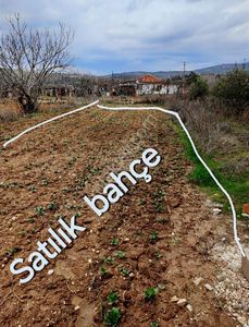 Arsa-Bağ & Bahçe